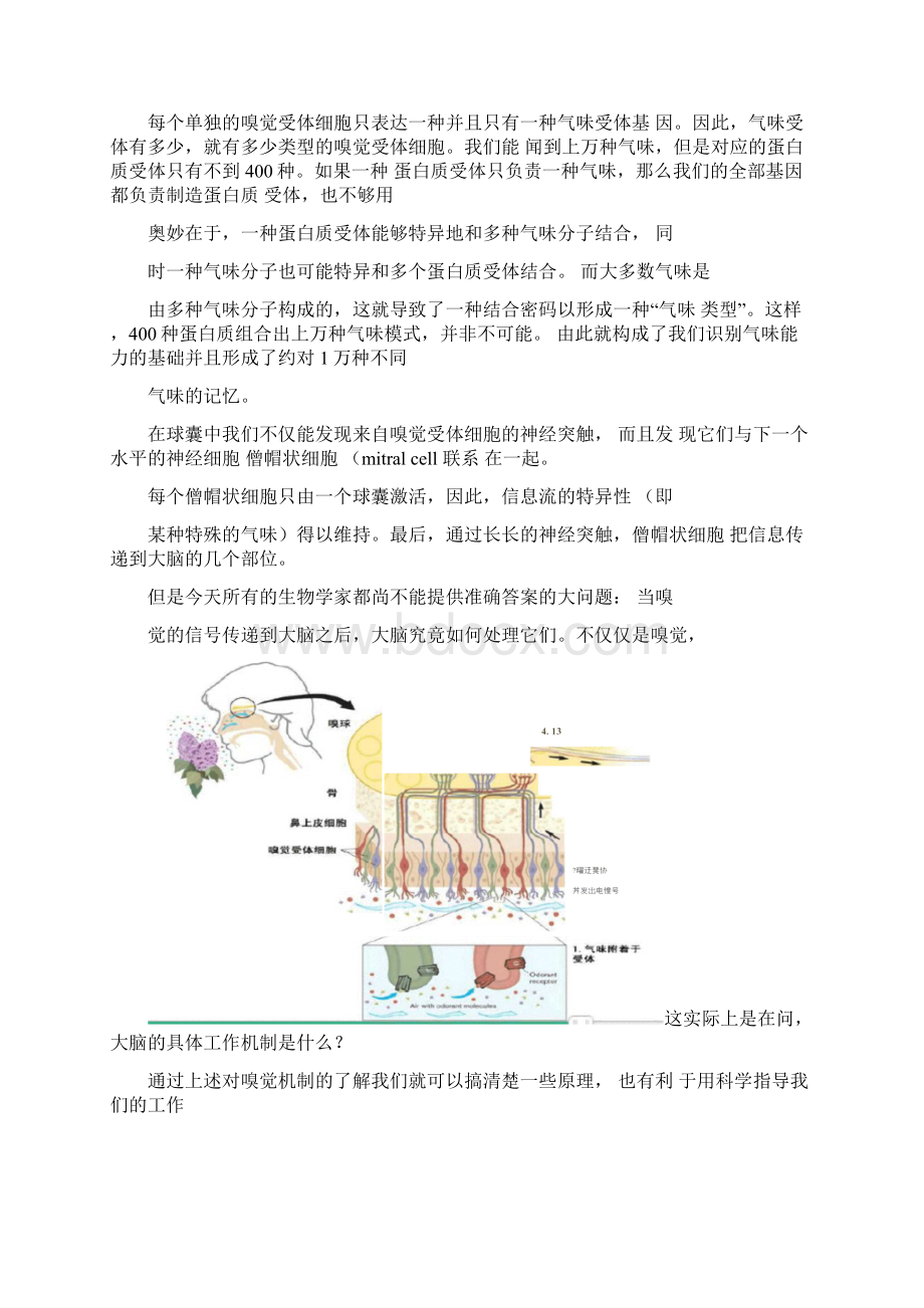 芳香植物对人体的作用.docx_第2页