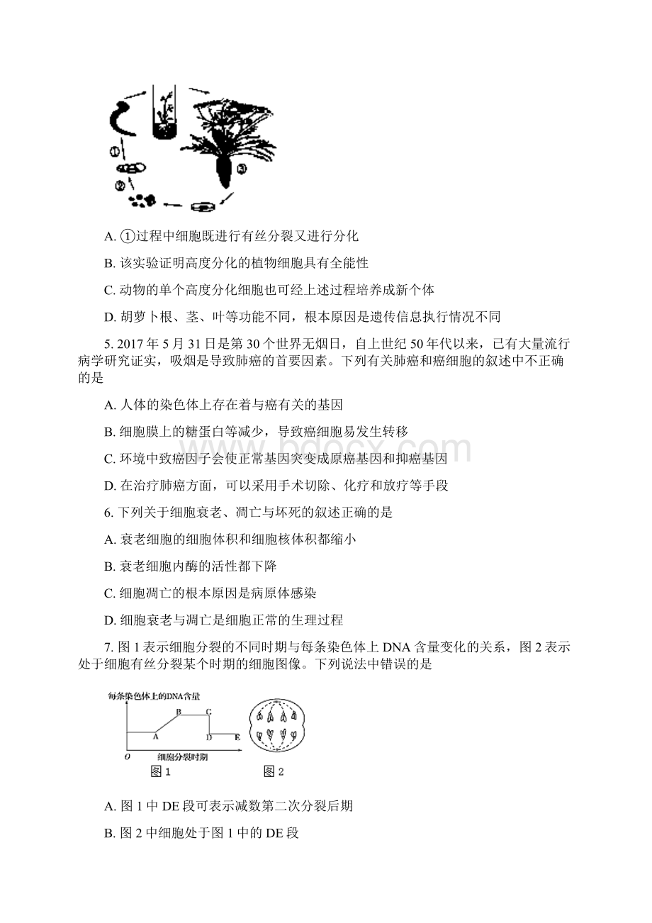 生物四川省简阳市学年高一下学期期末考试试题解析版Word文档格式.docx_第2页