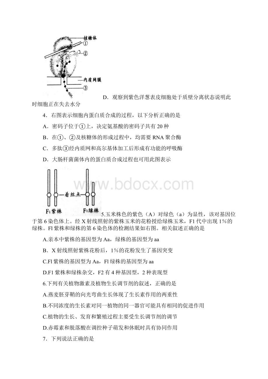 届山东省淄博市高三阶段性诊断考试二模理科综合试题及答案 精品Word文档格式.docx_第2页