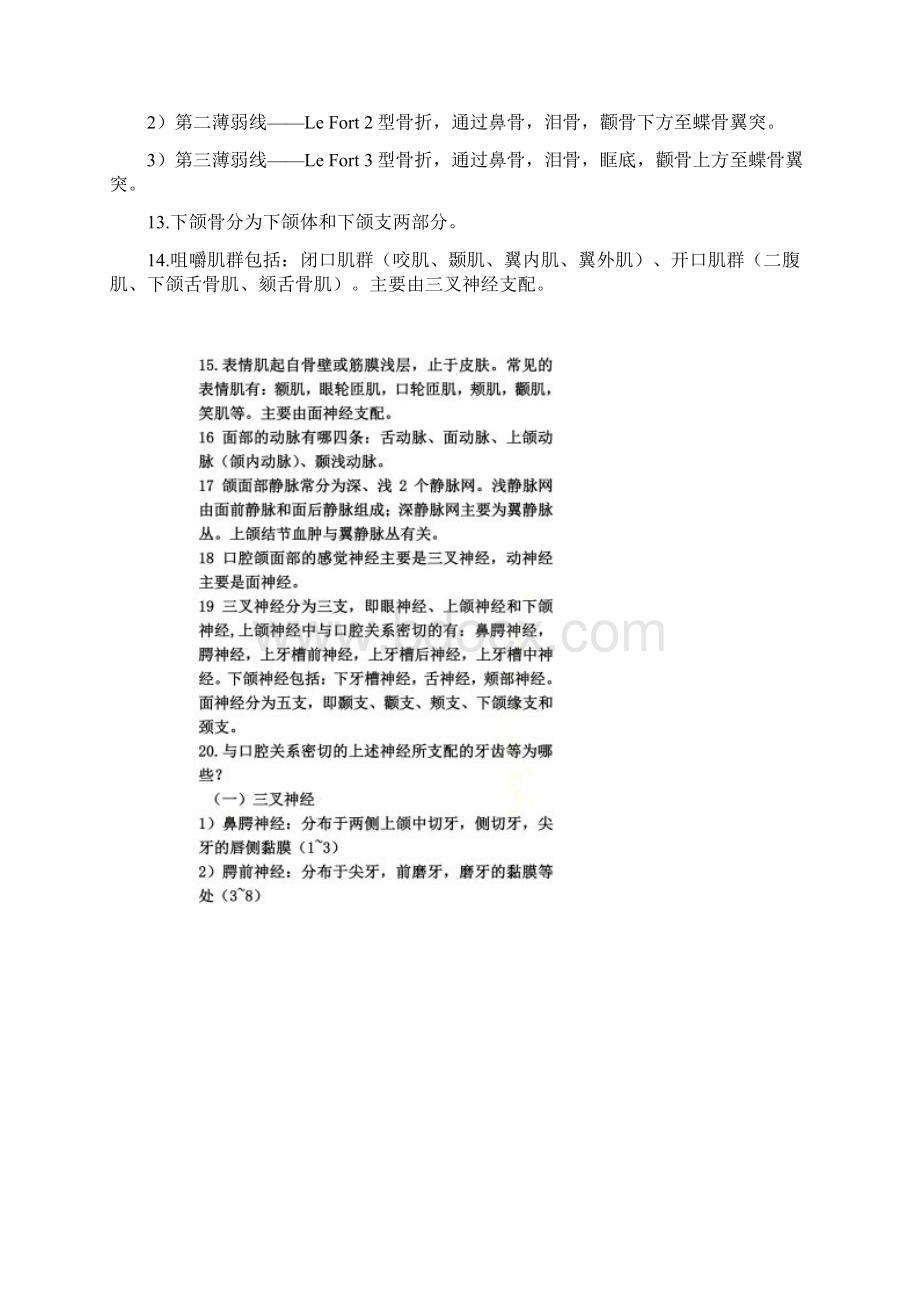 口腔医学重点笔记.docx_第2页