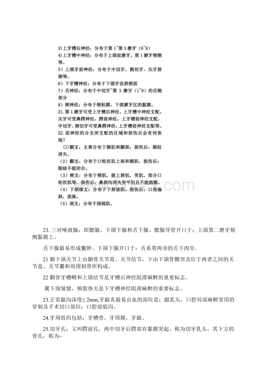 口腔医学重点笔记.docx_第3页