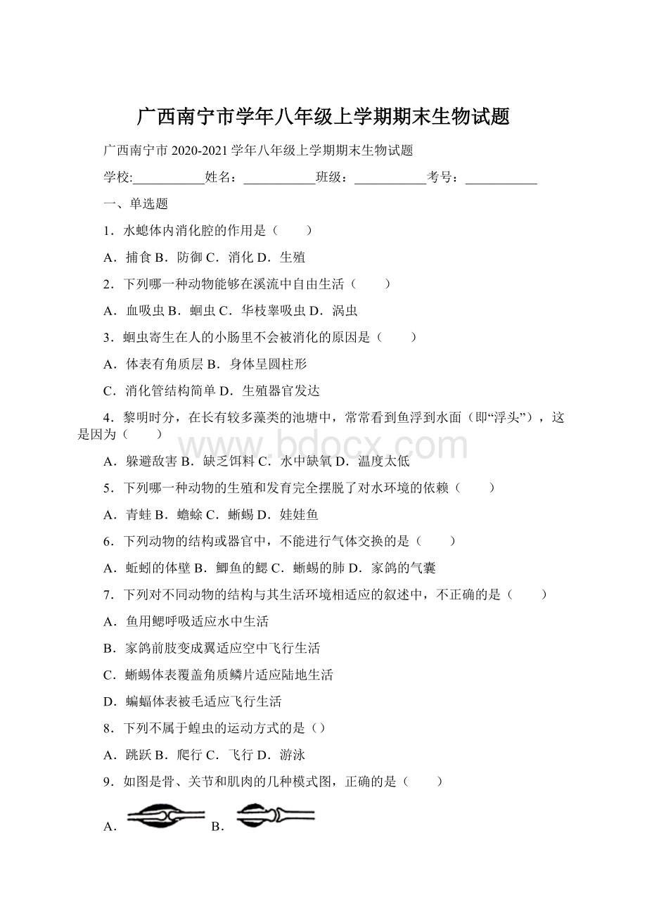 广西南宁市学年八年级上学期期末生物试题Word文件下载.docx_第1页