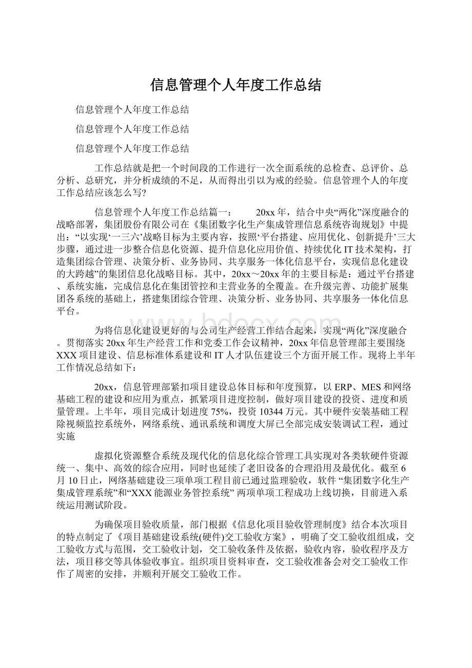 信息管理个人年度工作总结Word格式.docx