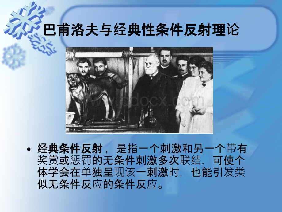 经典条件反射理论.ppt_第2页