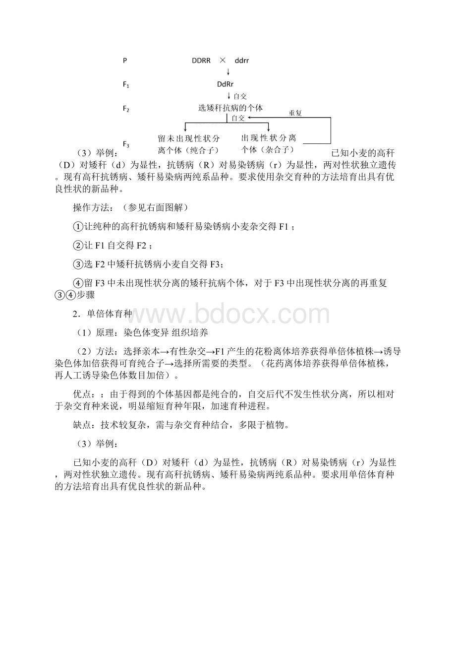 整理生物专题7高中生物教材中的育种知识.docx_第3页