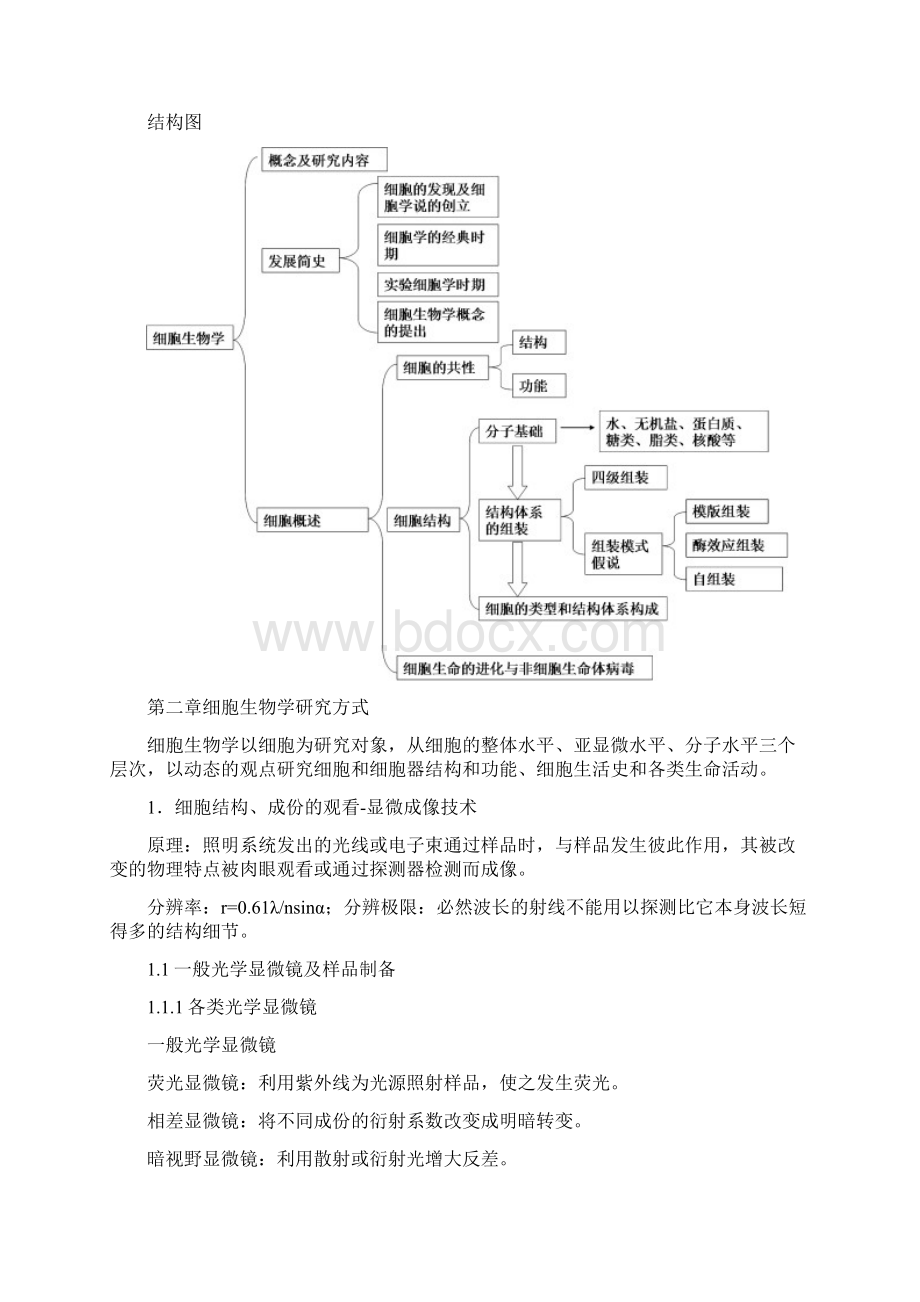 细胞生物学王金发Word文件下载.docx_第3页