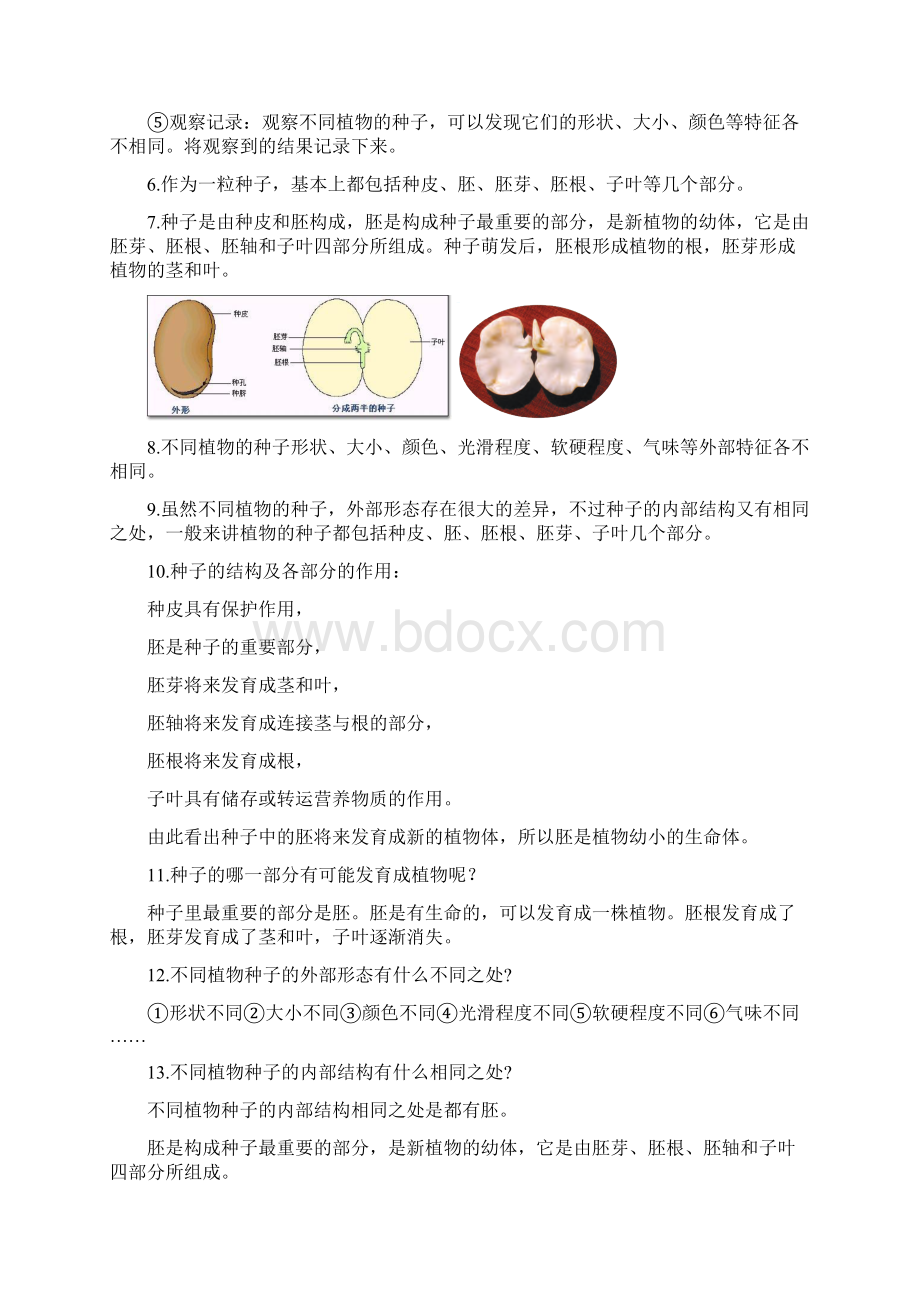 新教科版四年级下册科学全册知识点整理.docx_第2页