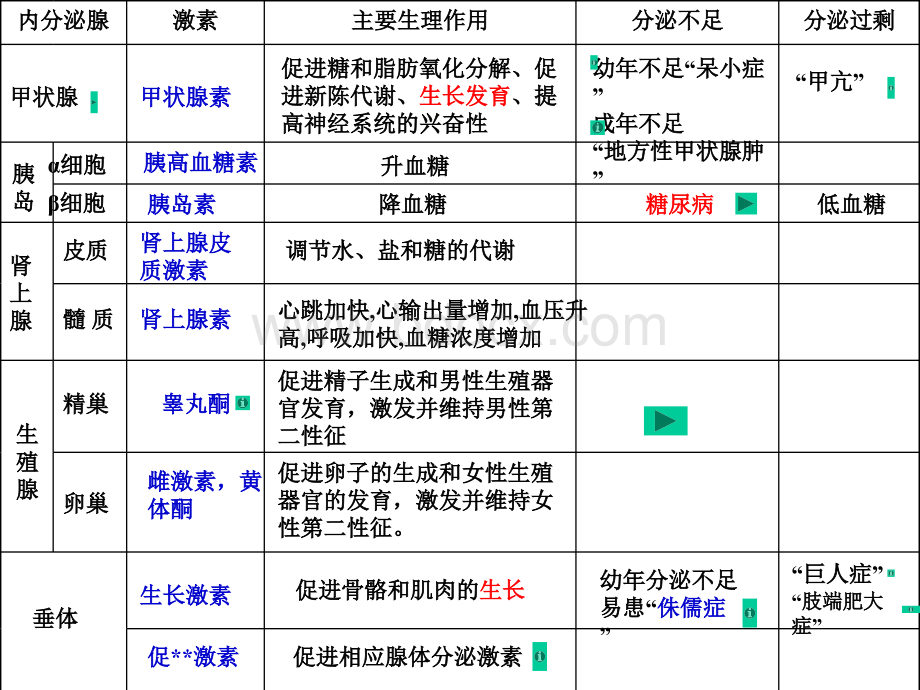 沪版第五章第三节内分泌系统中信息的传递和调节.ppt_第3页