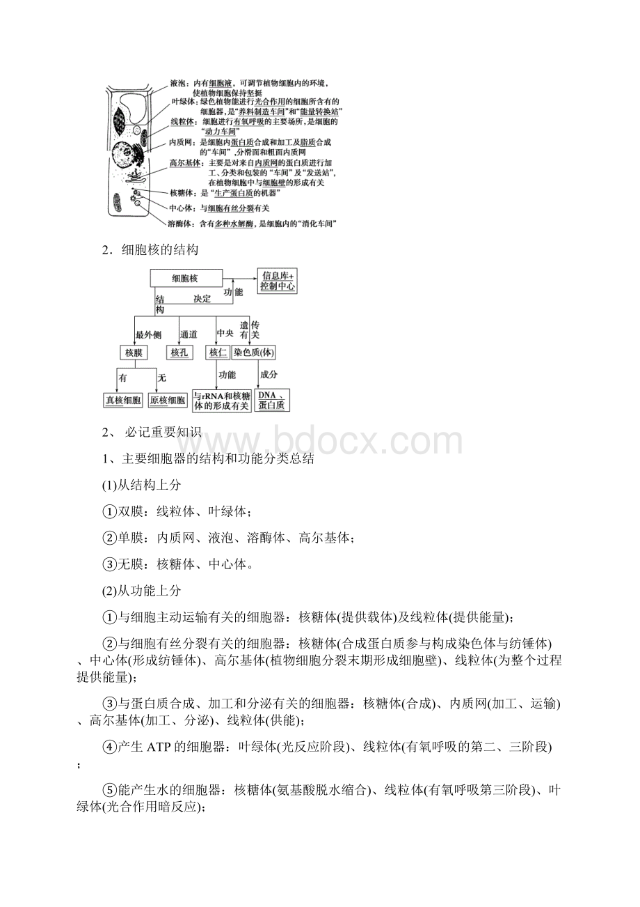 高考生物一轮专题突破练专题一细胞的分子组成和结构功能四教案.docx_第2页