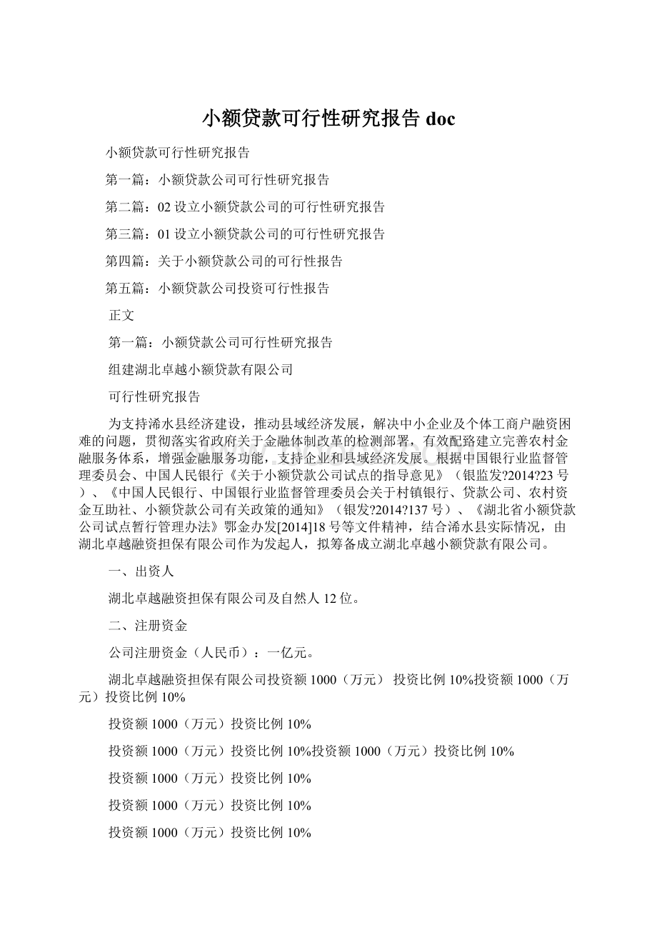 小额贷款可行性研究报告doc.docx