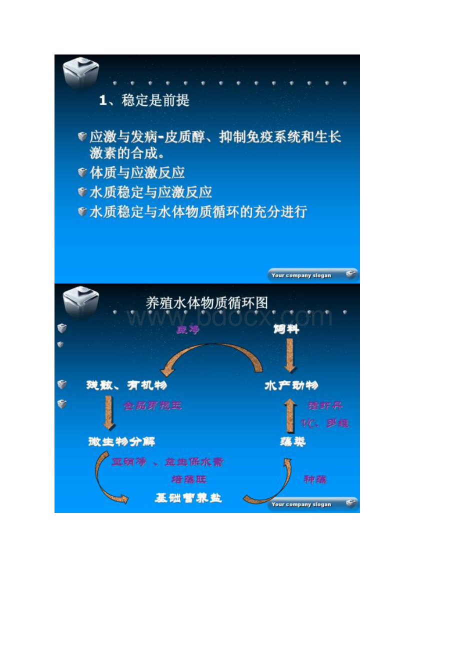 南美白对虾养殖关键技术及病害防治.docx_第2页