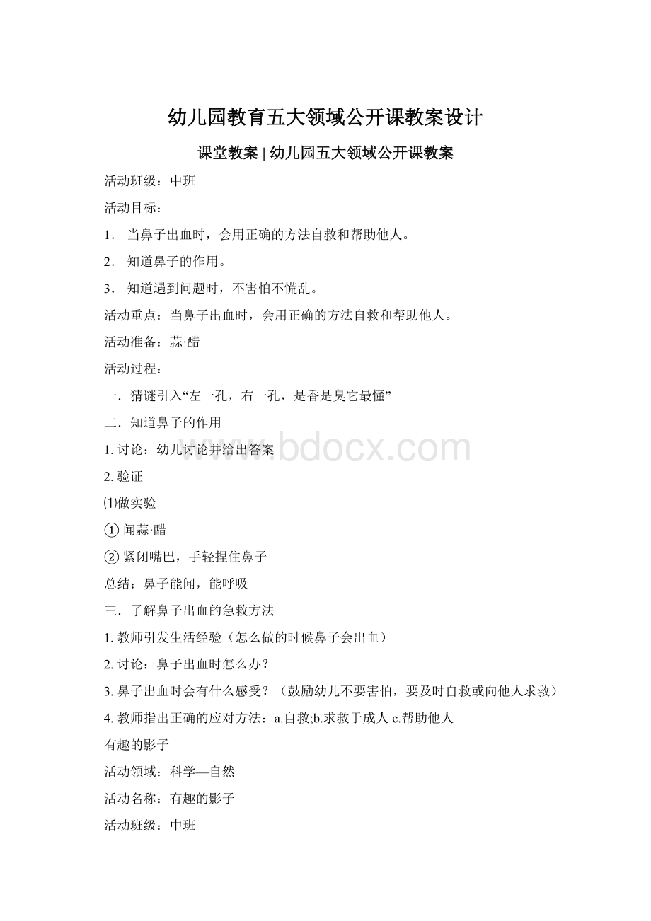 幼儿园教育五大领域公开课教案设计Word文档格式.docx