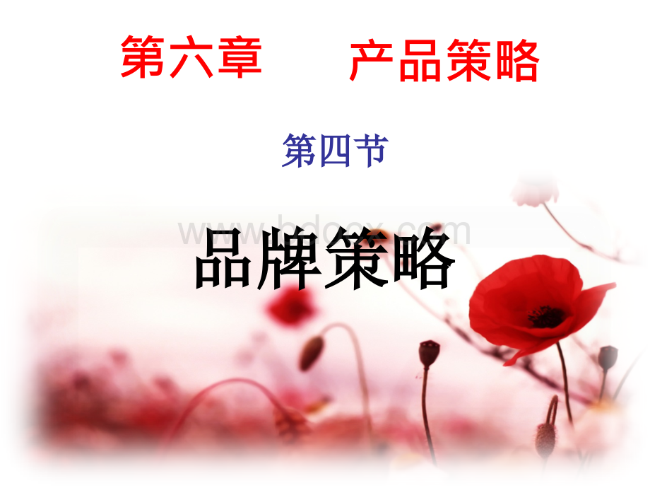 公开课课件---品牌策略.ppt_第1页