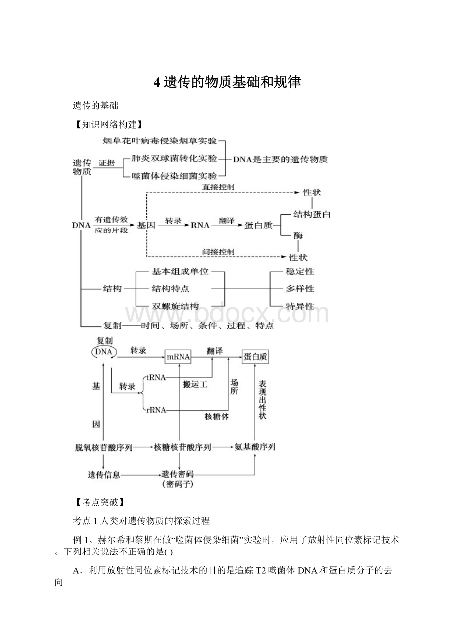 4遗传的物质基础和规律.docx