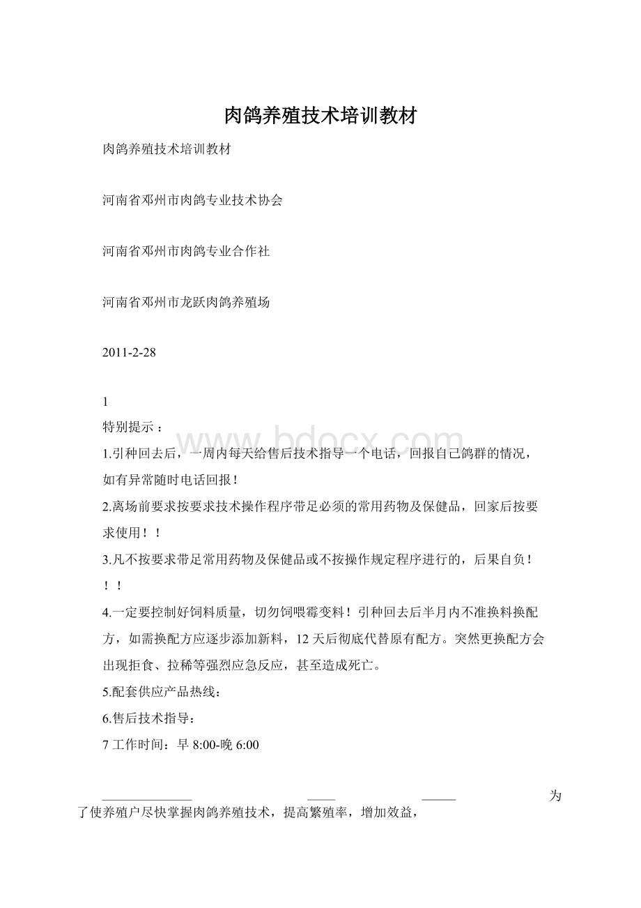 肉鸽养殖技术培训教材Word文件下载.docx