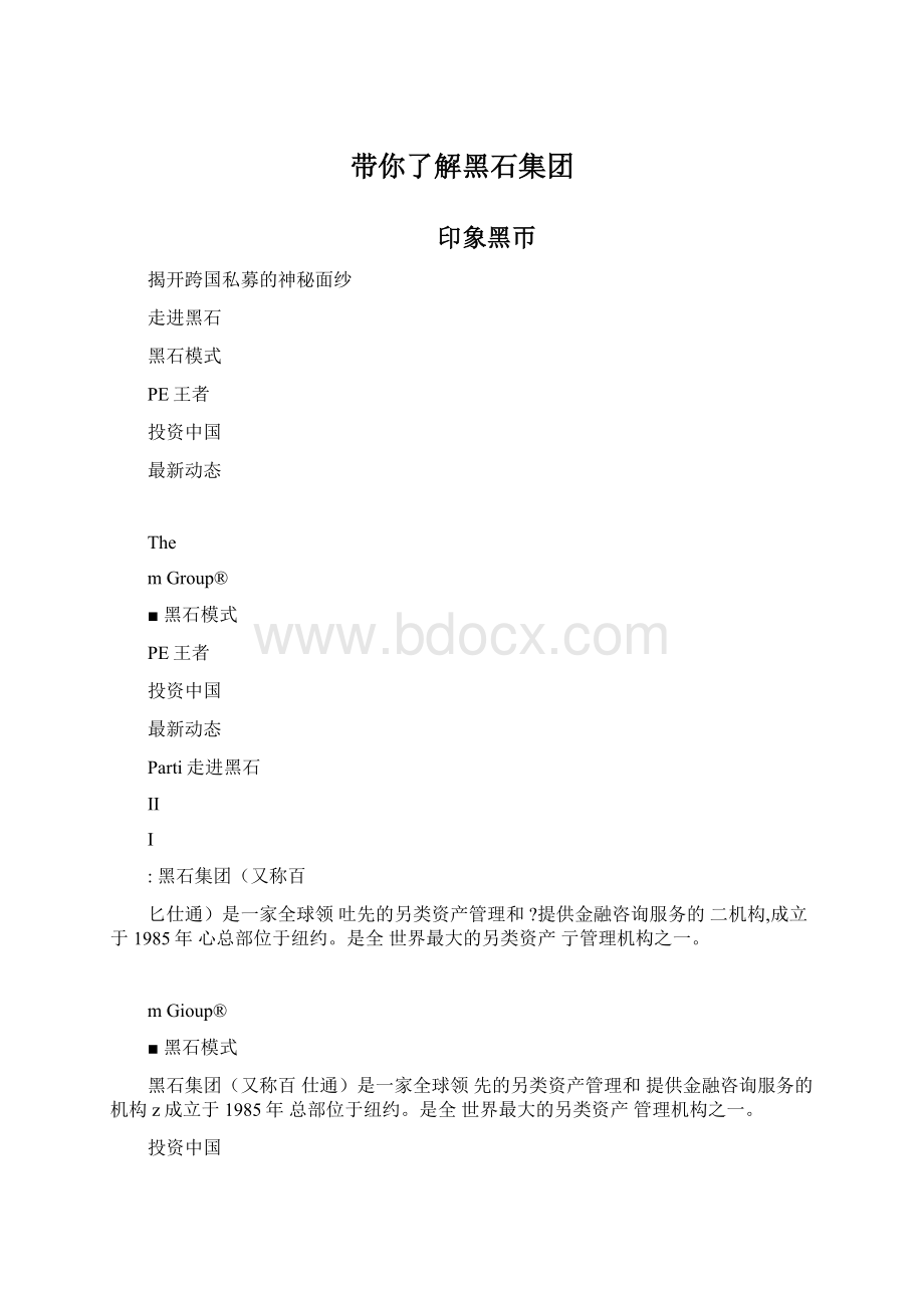 带你了解黑石集团.docx