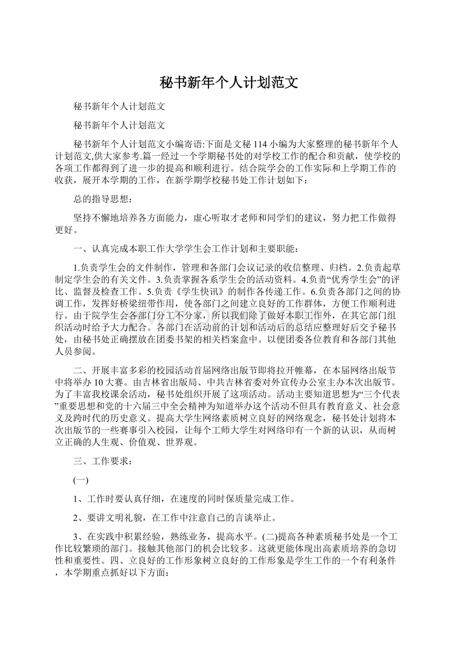 秘书新年个人计划范文Word格式文档下载.docx