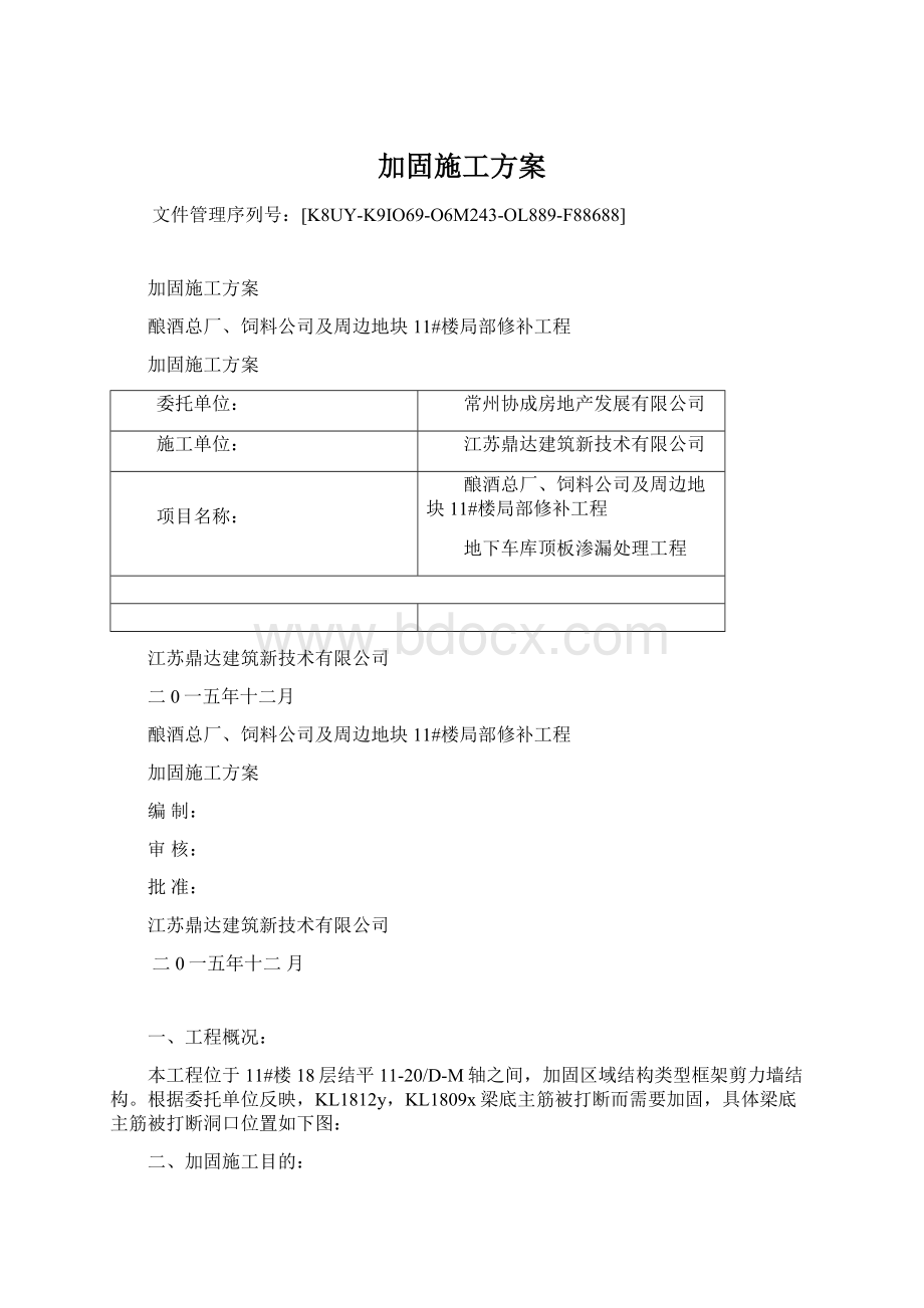 加固施工方案.docx