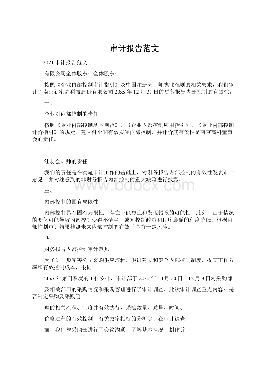 审计报告范文Word格式文档下载.docx