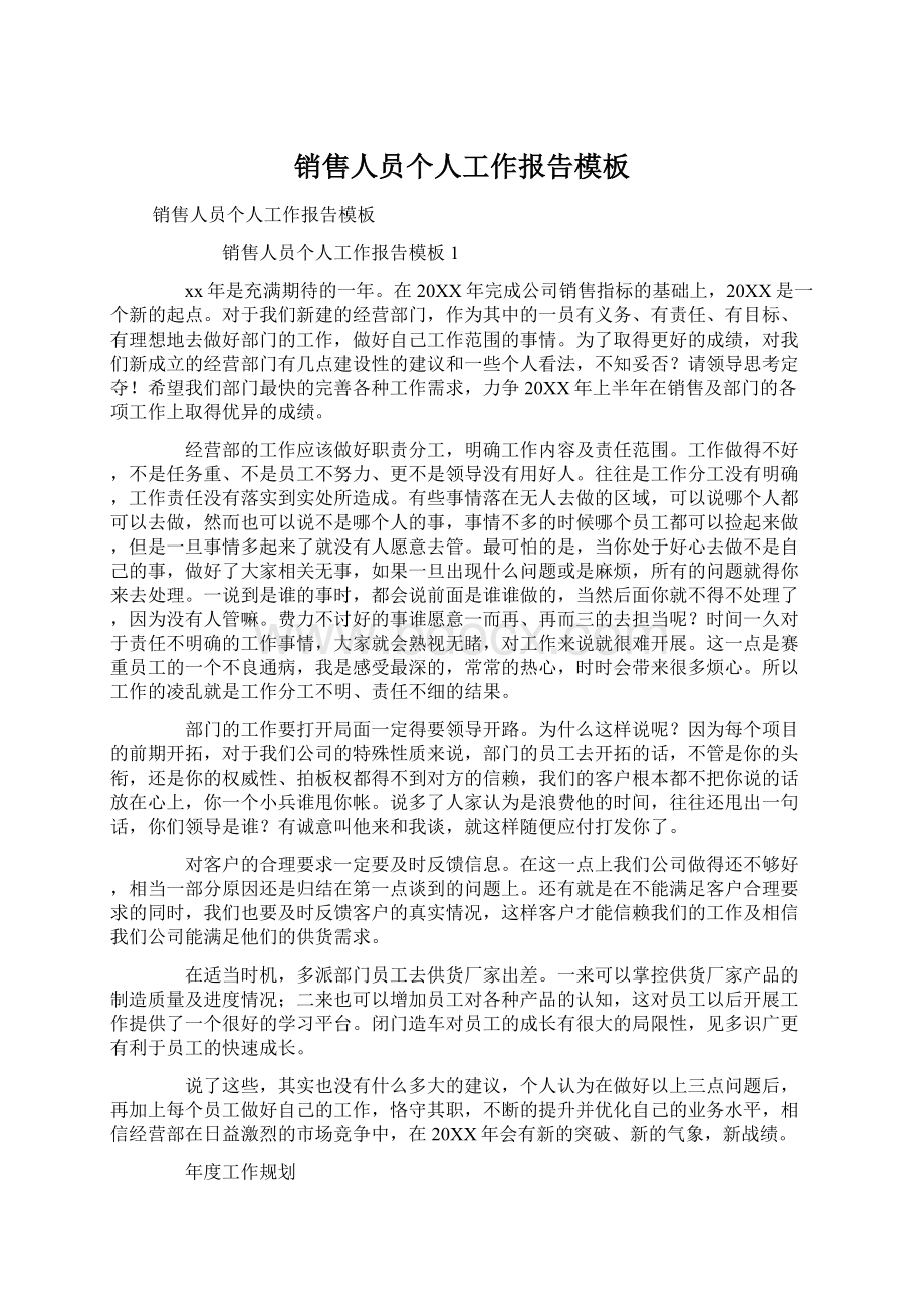 销售人员个人工作报告模板文档格式.docx