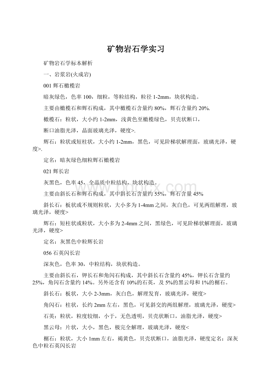 矿物岩石学实习文档格式.docx