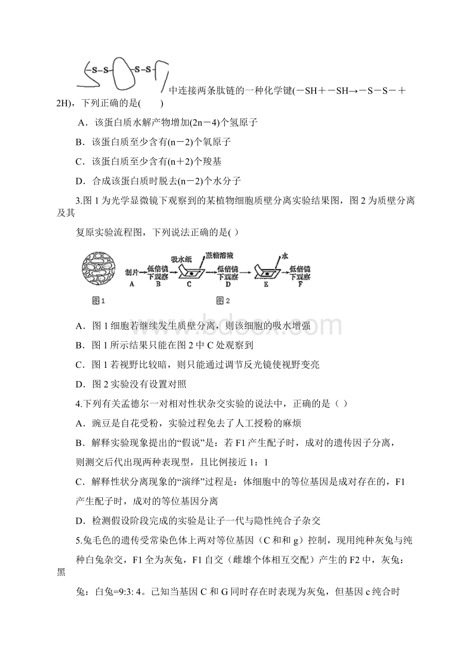 天津市静海县第一中学届高三学生学业能力调研生物试题精校Word版含答案Word格式文档下载.docx_第2页