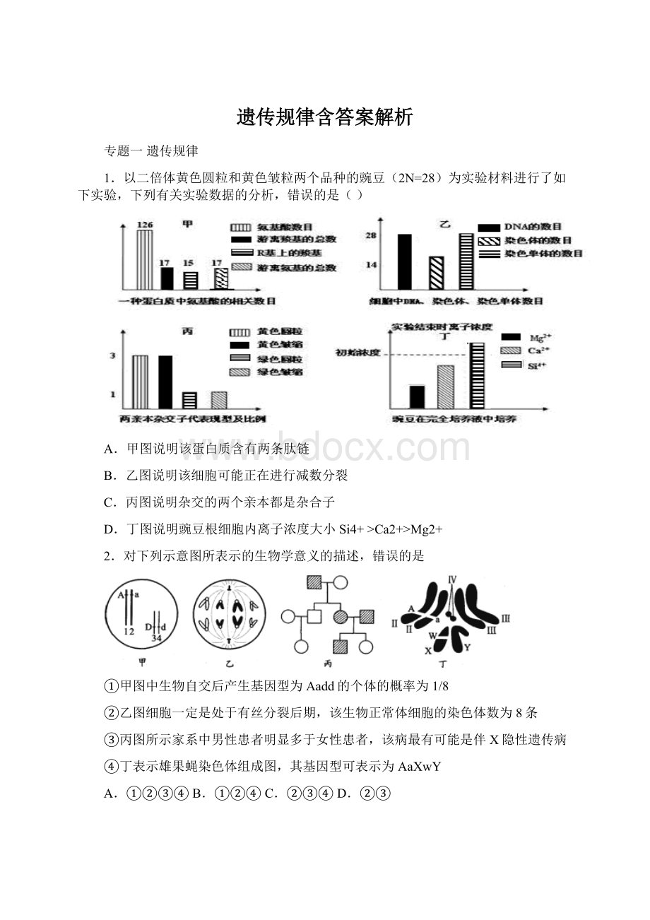 遗传规律含答案解析Word格式.docx_第1页