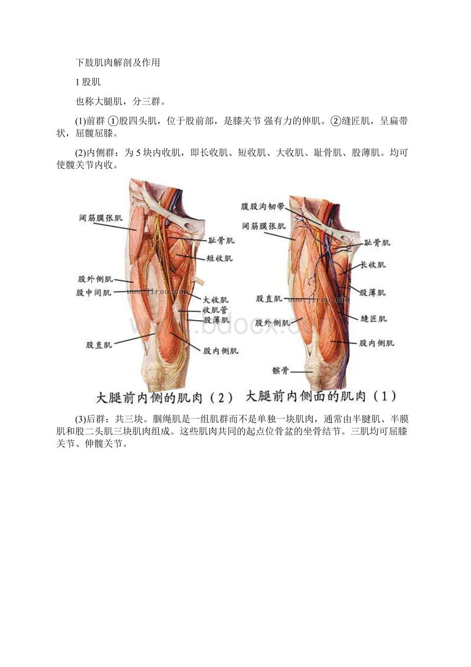 膝过伸的原因及康复教程文件.docx_第2页