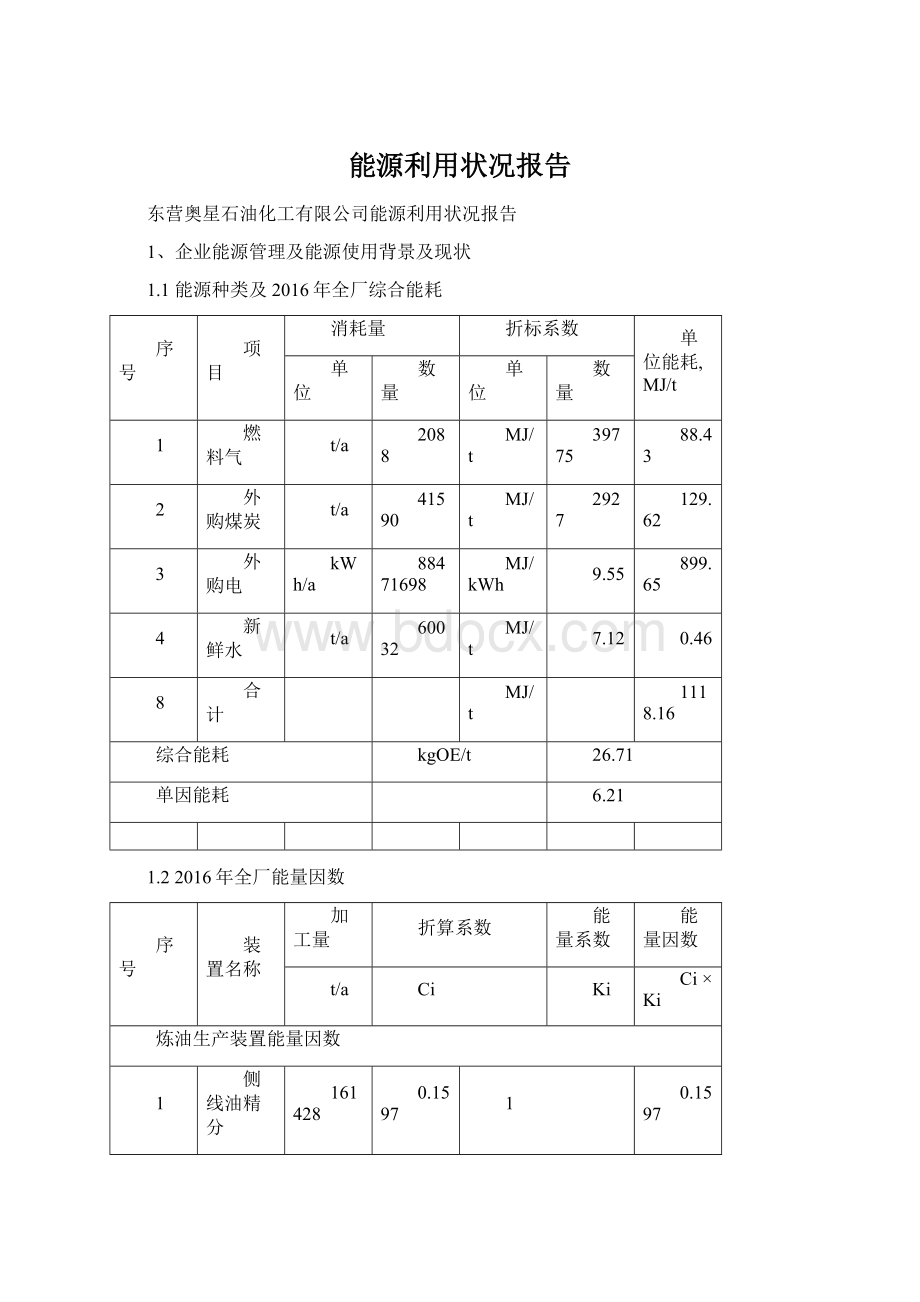 能源利用状况报告.docx_第1页