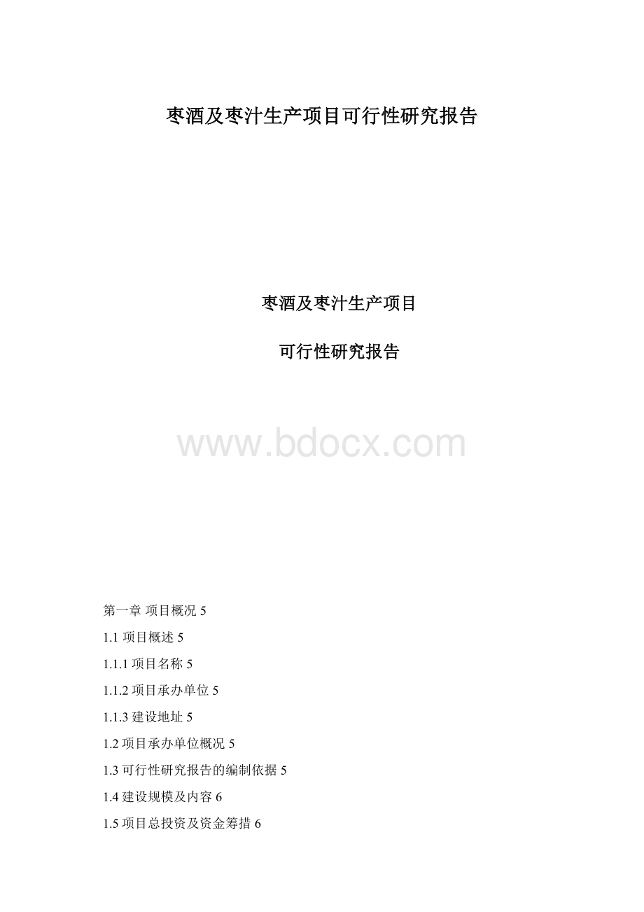 枣酒及枣汁生产项目可行性研究报告Word格式文档下载.docx_第1页