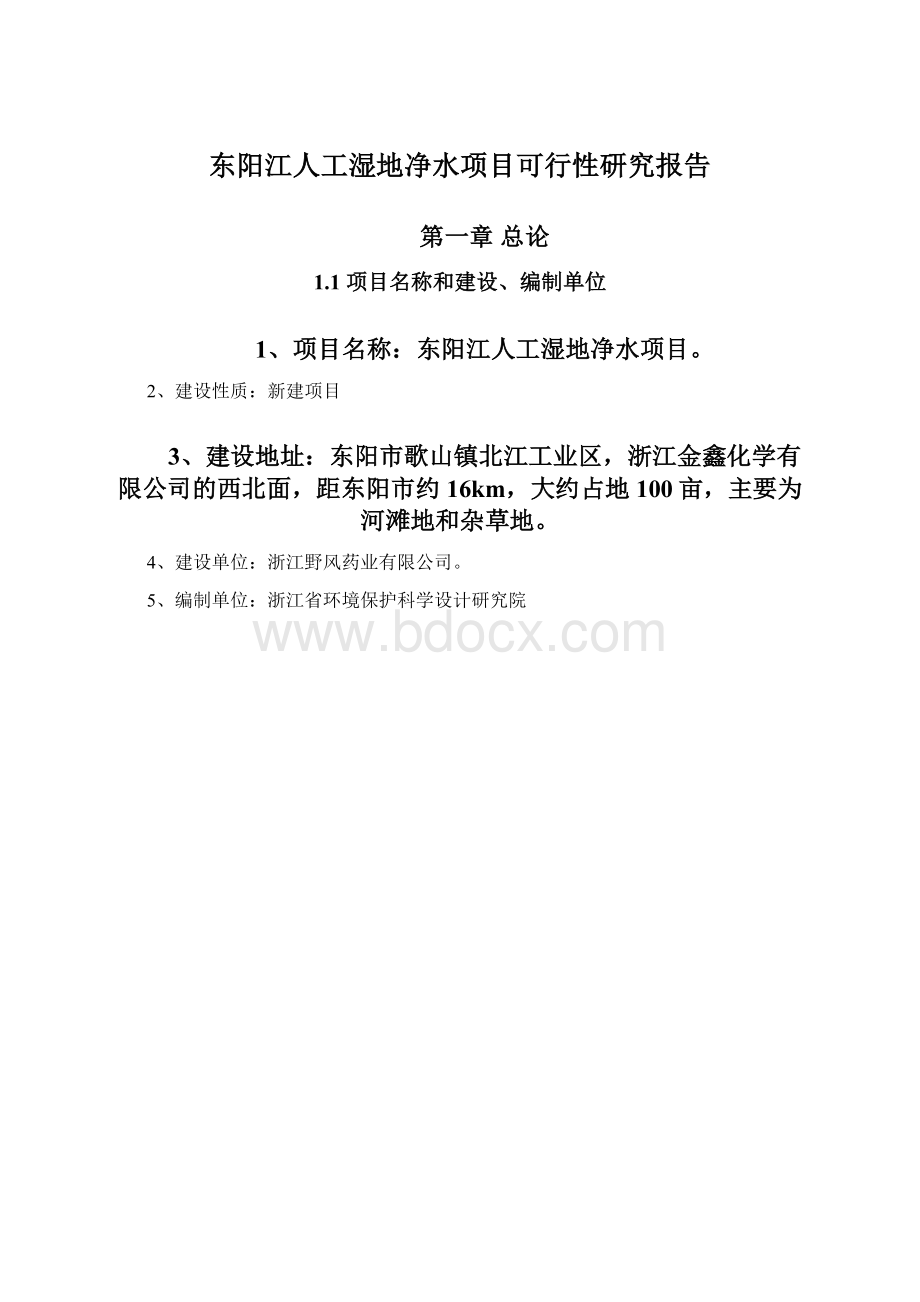 东阳江人工湿地净水项目可行性研究报告.docx