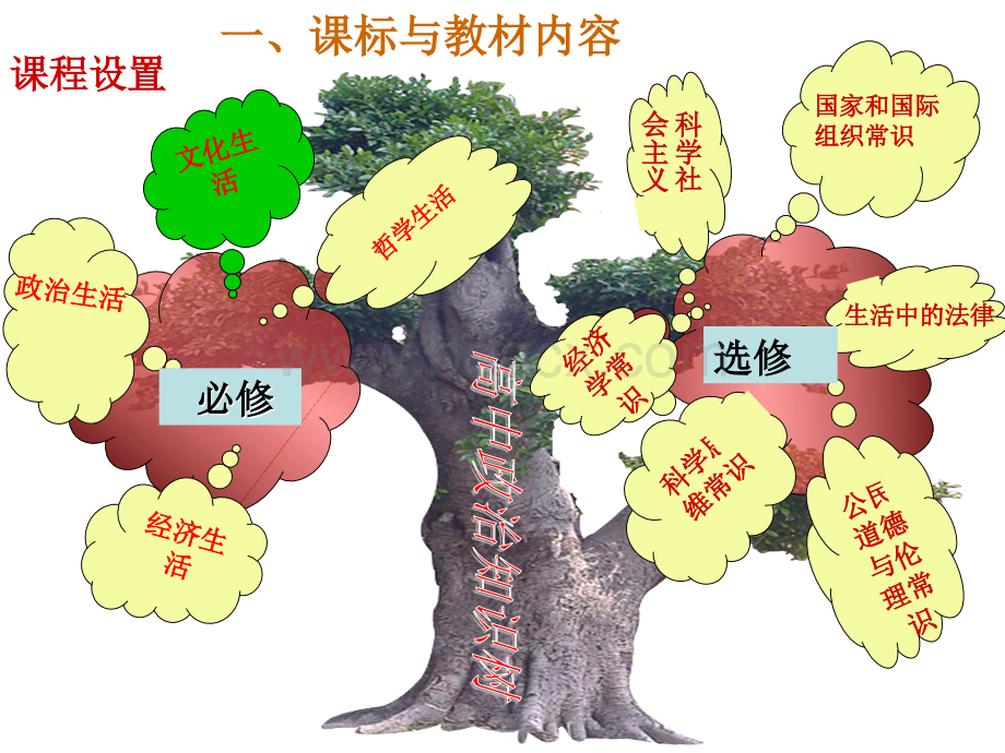 文化与生活教材分析PPT资料.ppt_第3页