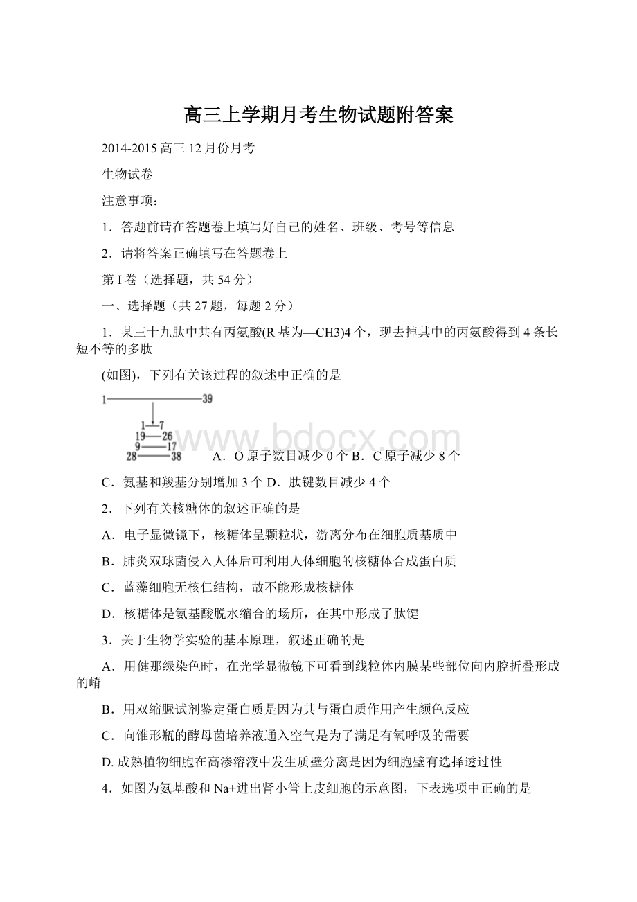 高三上学期月考生物试题附答案Word文档格式.docx