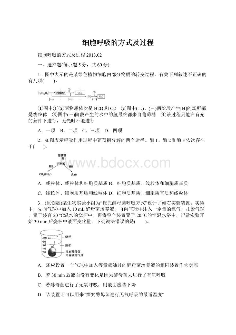 细胞呼吸的方式及过程Word下载.docx