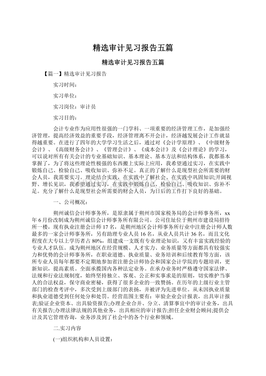 精选审计见习报告五篇.docx