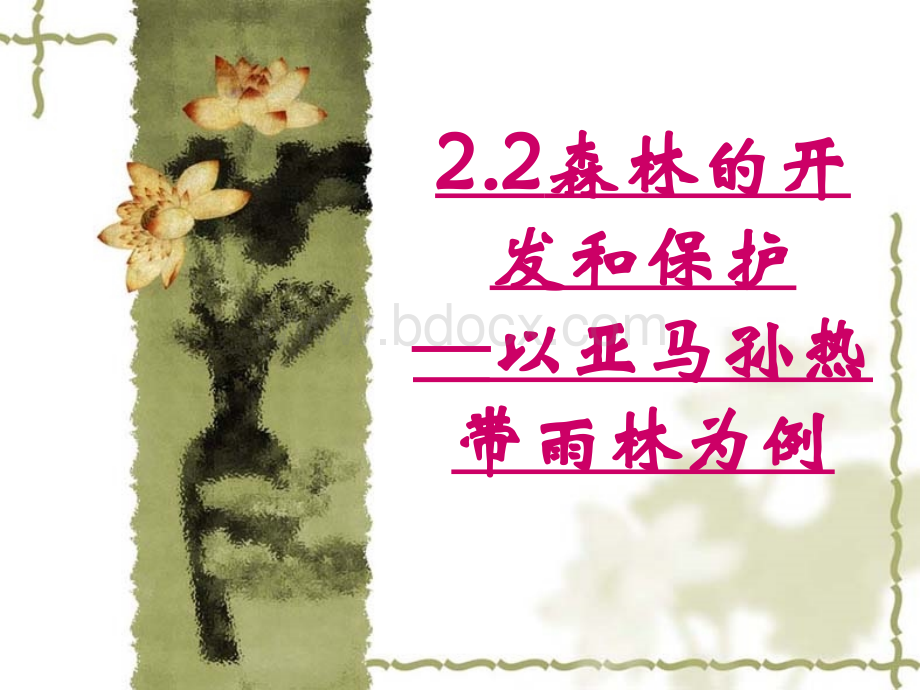 森林的开发与保护优质PPT.ppt_第2页