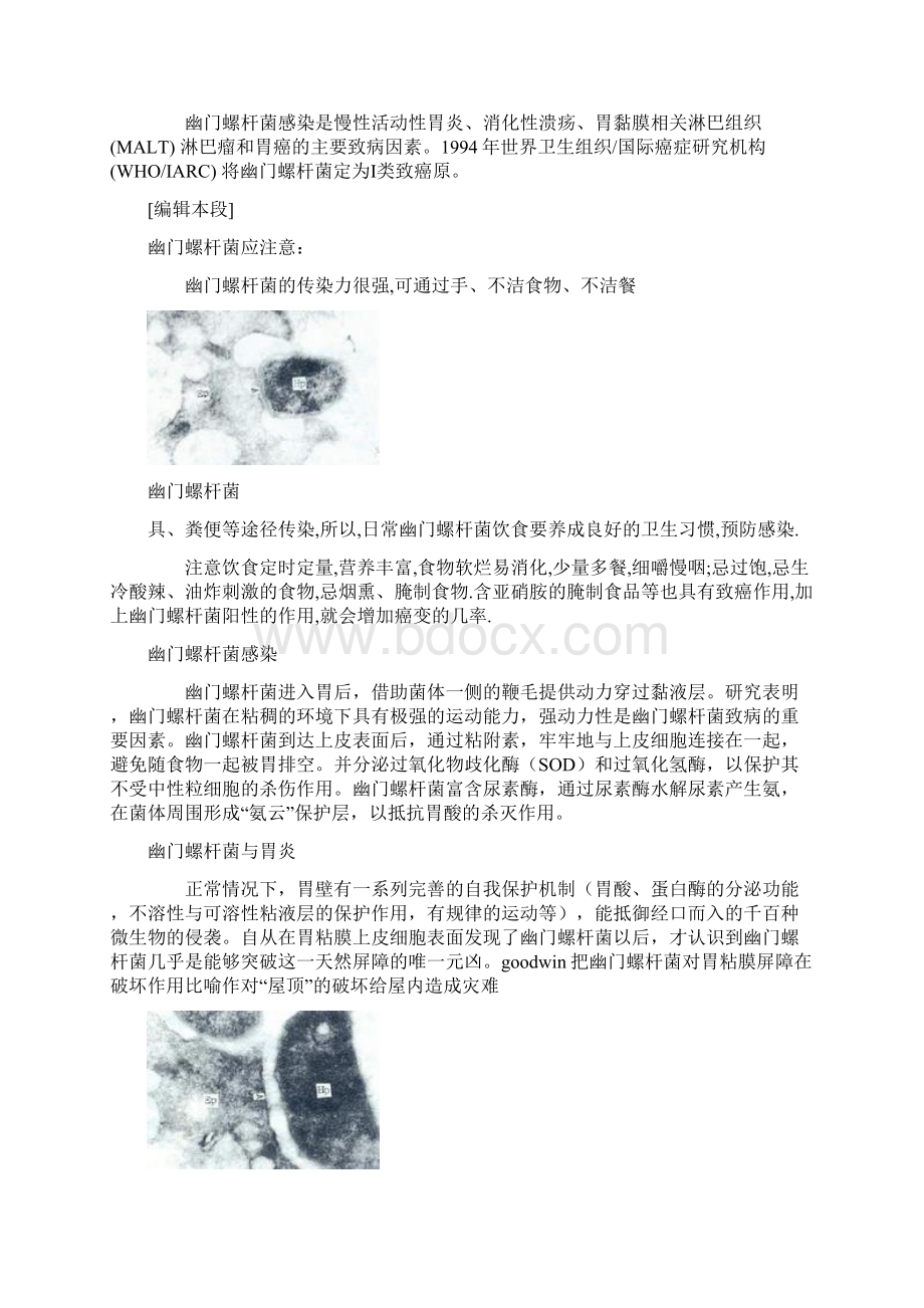 幽门螺杆菌.docx_第3页