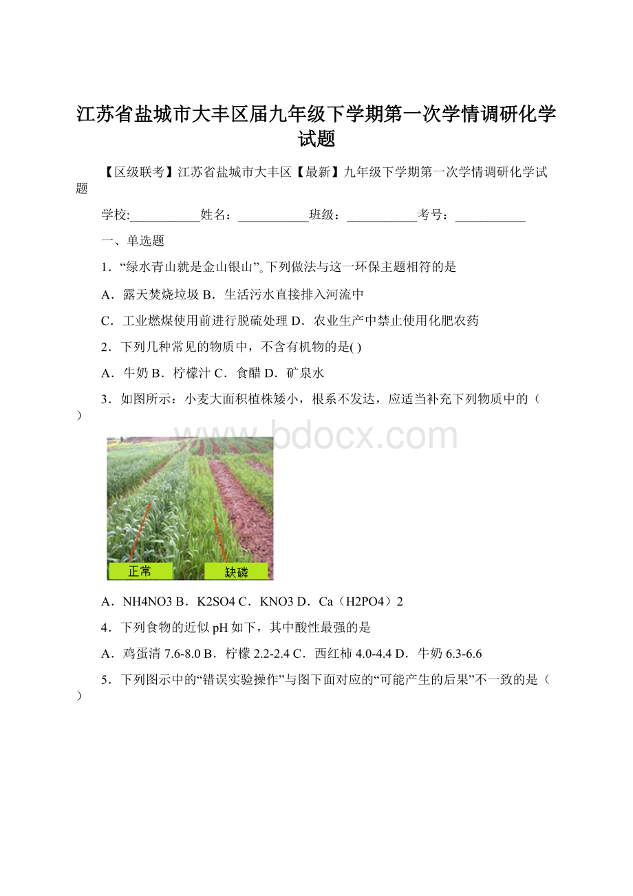 江苏省盐城市大丰区届九年级下学期第一次学情调研化学试题.docx