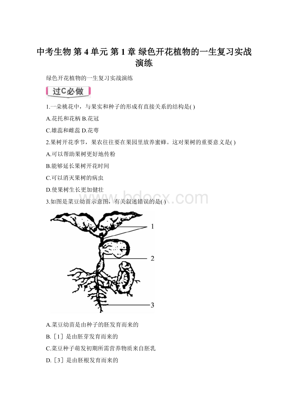 中考生物 第4单元 第1章 绿色开花植物的一生复习实战演练Word文档格式.docx_第1页