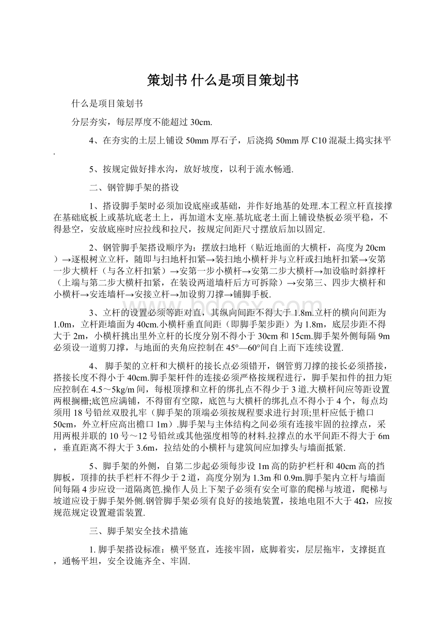 策划书 什么是项目策划书.docx_第1页