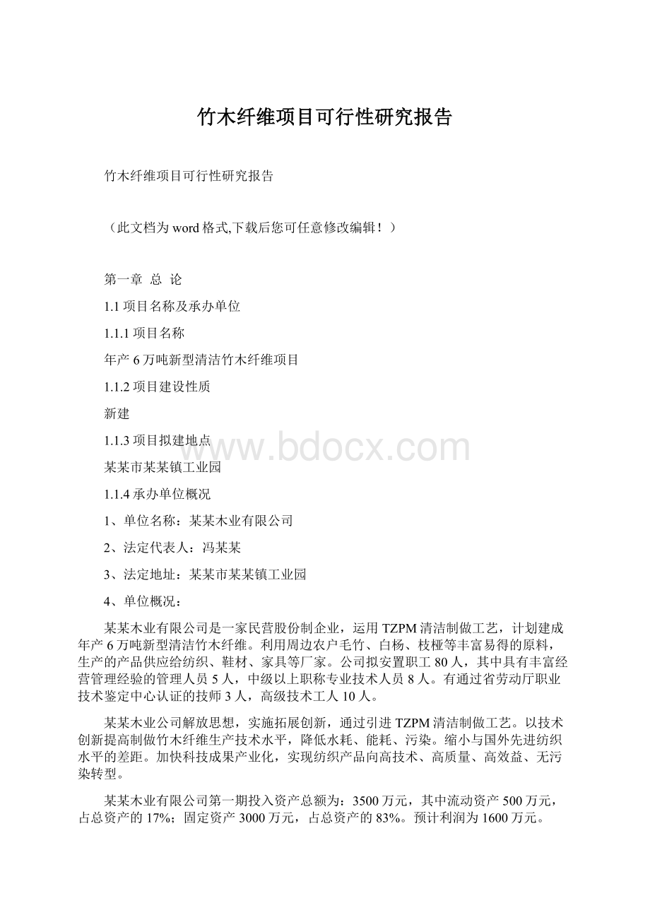 竹木纤维项目可行性研究报告Word文档格式.docx