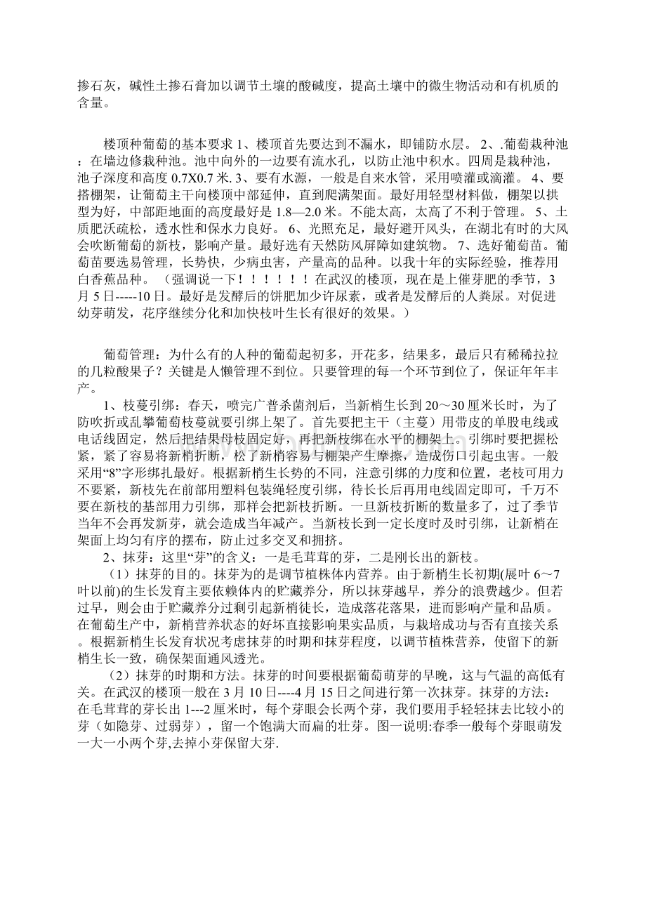 楼顶栽种葡萄实践经验系列Word文档下载推荐.docx_第2页