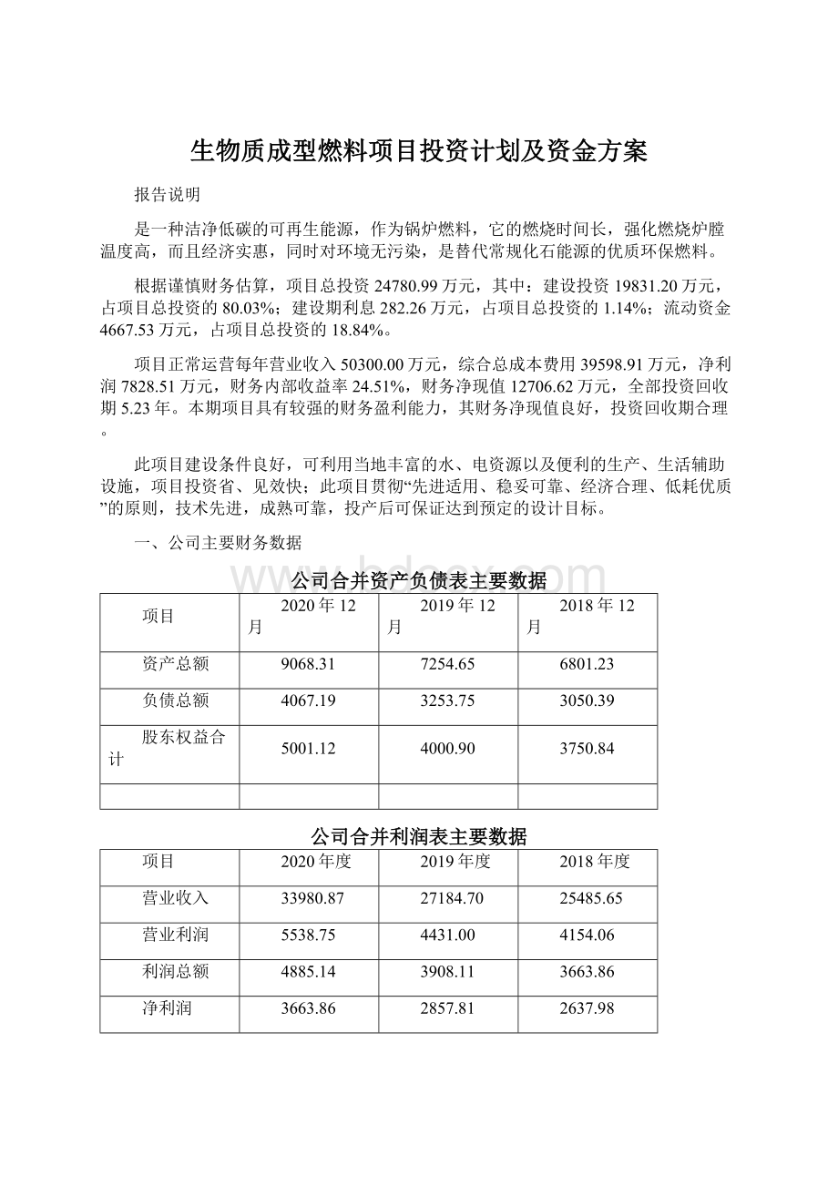 生物质成型燃料项目投资计划及资金方案Word格式文档下载.docx_第1页