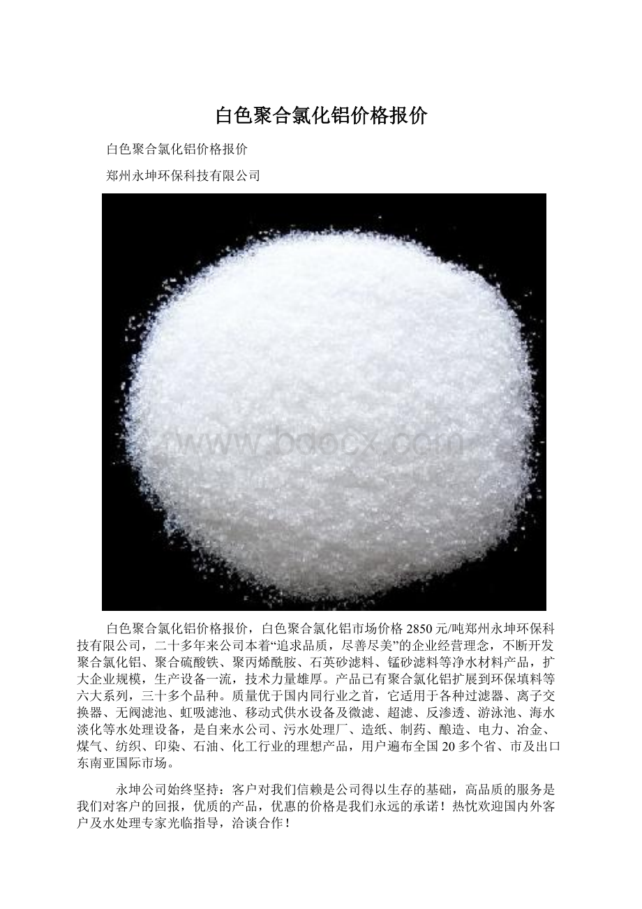 白色聚合氯化铝价格报价.docx_第1页