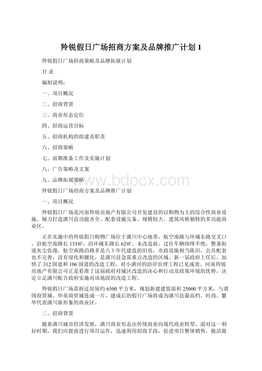 羚锐假日广场招商方案及品牌推广计划1Word文档格式.docx_第1页