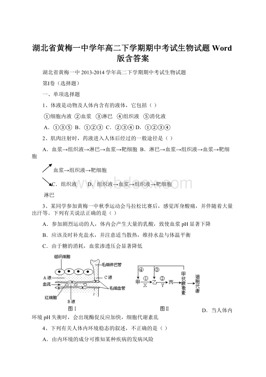 湖北省黄梅一中学年高二下学期期中考试生物试题Word版含答案Word文档格式.docx