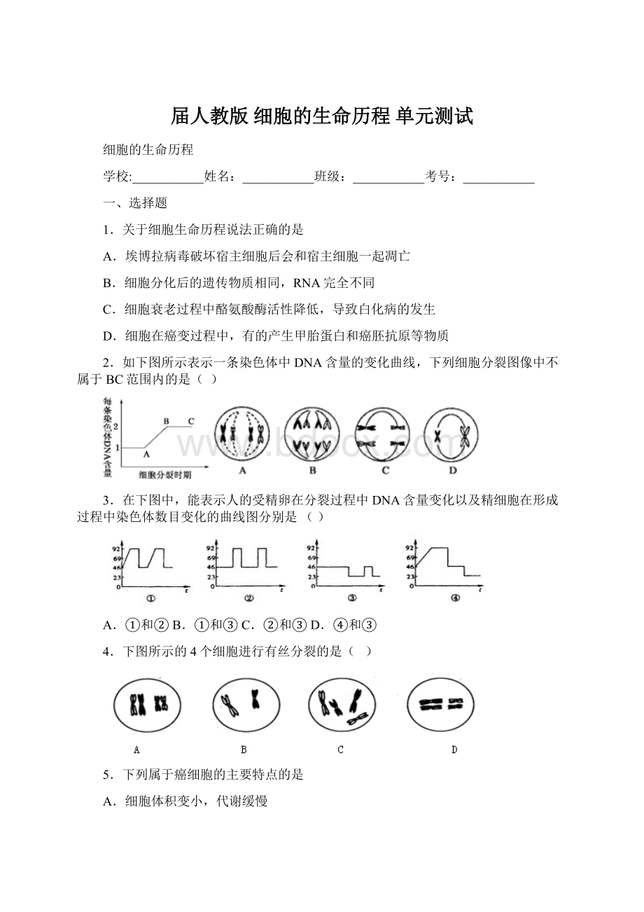 届人教版 细胞的生命历程 单元测试Word下载.docx_第1页