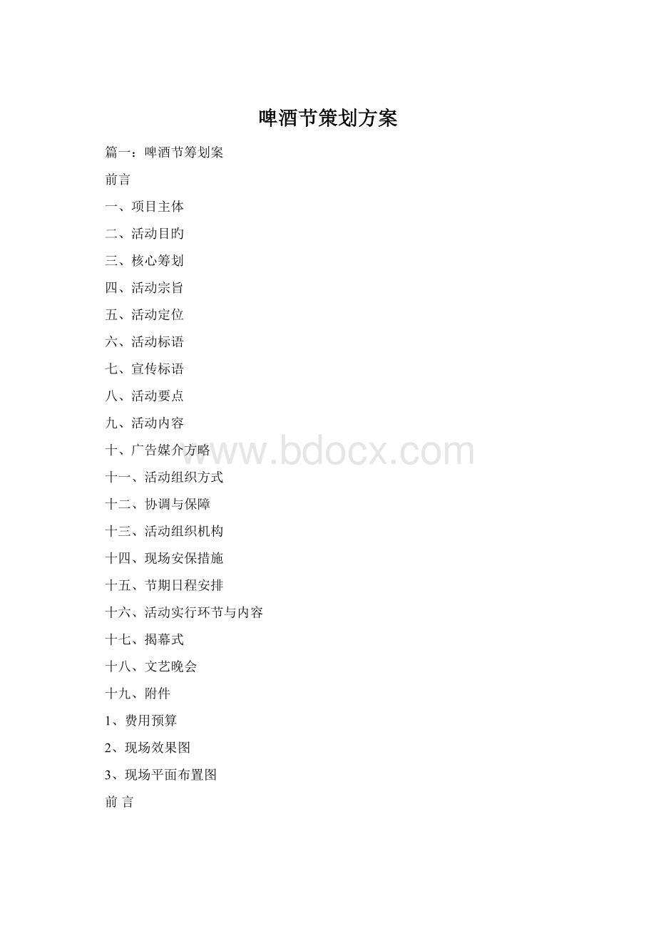 啤酒节策划方案.docx