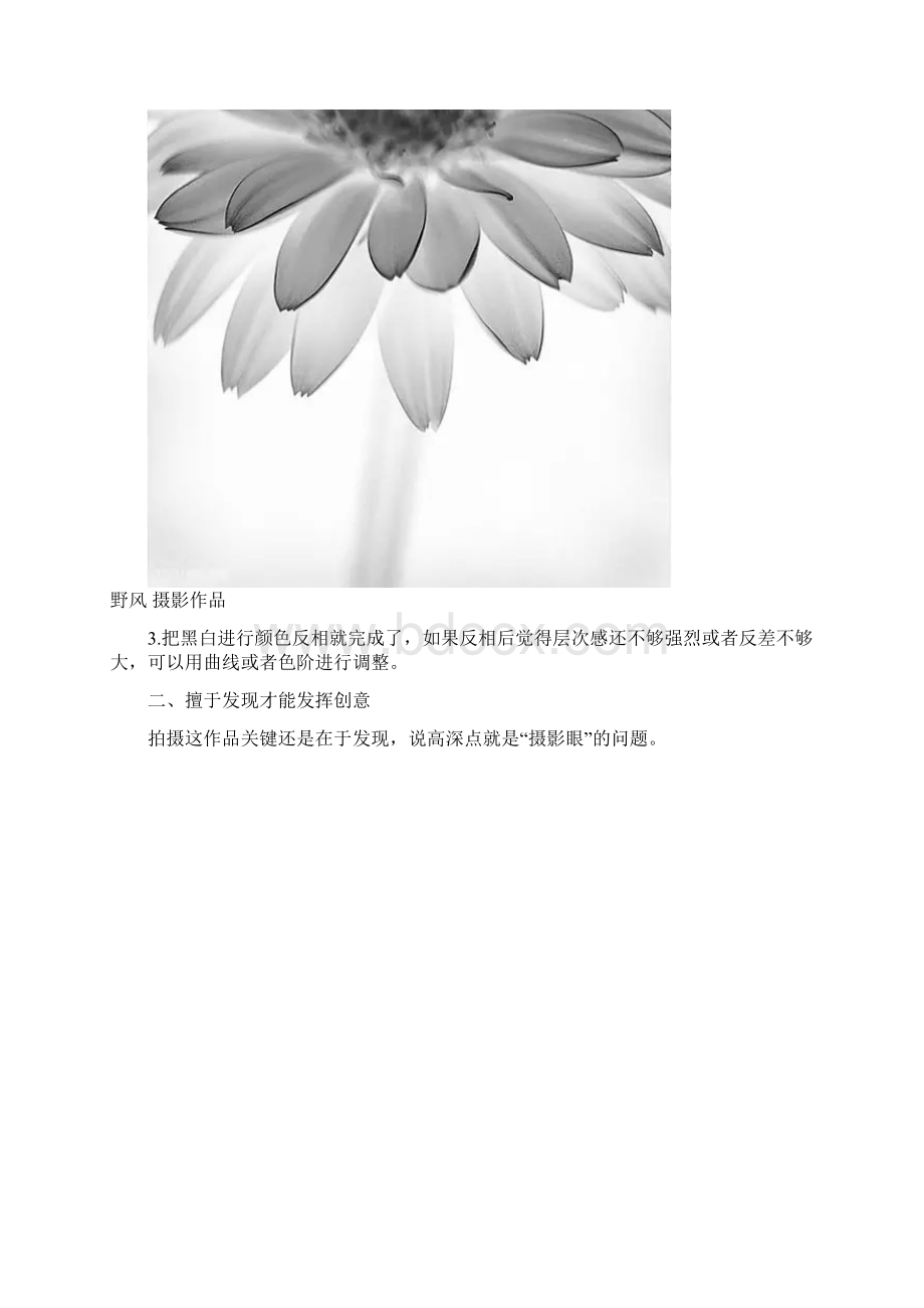 摄影师的花卉拍摄创意.docx_第3页