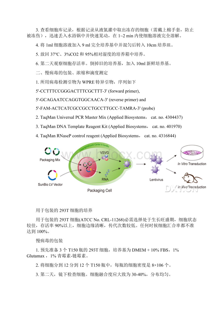 慢病毒包装浓缩纯化滴度实验步骤.docx_第2页